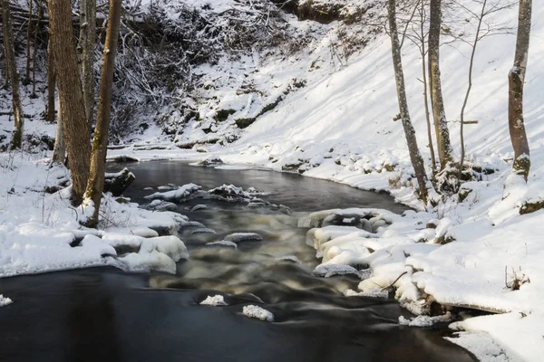 Small River Snowy Forest — 스톡 사진