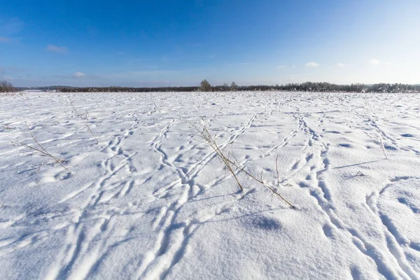 Снежные Соломенные Кубики Зимой — стоковое фото