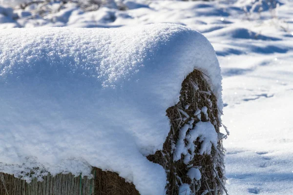 Besneeuwde Stroblokjes Winter — Stockfoto