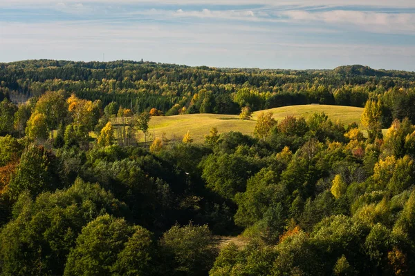 Hermoso Paisaje Verde Día Soleado — Foto de Stock