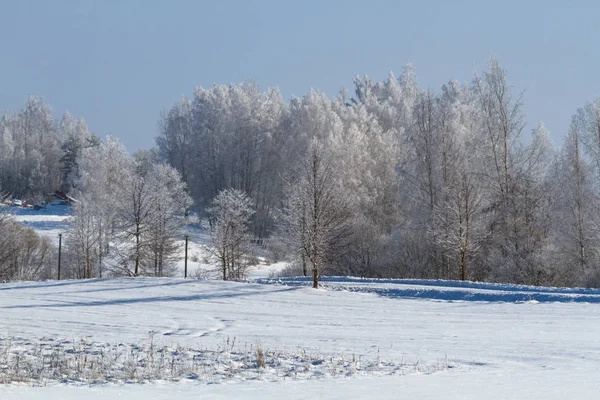 Park Zimowy Harenka Rosja Iwanowo — Zdjęcie stockowe