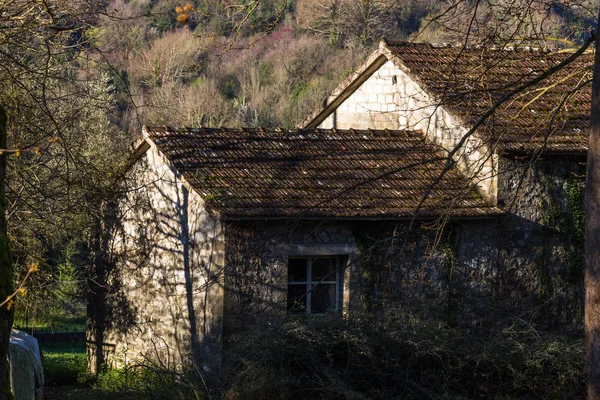 Vieille Maison Bois Dans Forêt — Photo