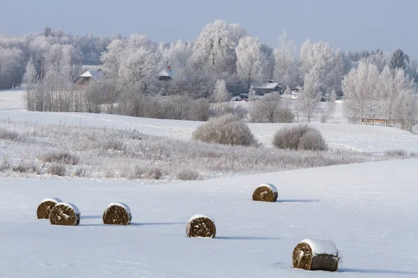 Морозная Снежная Зима Сельской Местности — стоковое фото