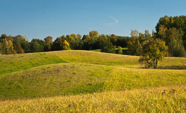 Schöne Grüne Landschaft Bei Sonnigem Tag — Stockfoto