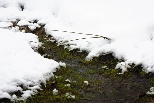 Замерзшая Вода Зимнем Пейзаже — стоковое фото