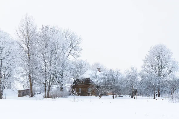 Zimowy Widok Zabytkowy Drewniany Kościół Drzewami Godzinach Porannych Wieś Bulatovo — Zdjęcie stockowe