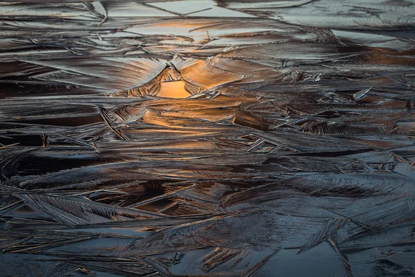 Замороженная Рыба Деревянном Фоне — стоковое фото