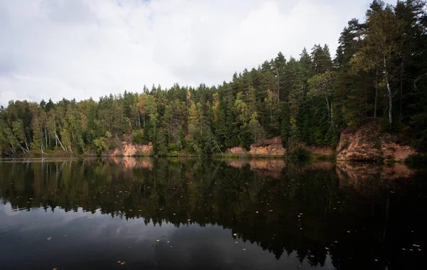 Landschaft Aus Fluss Und Grünem Wald — Stockfoto