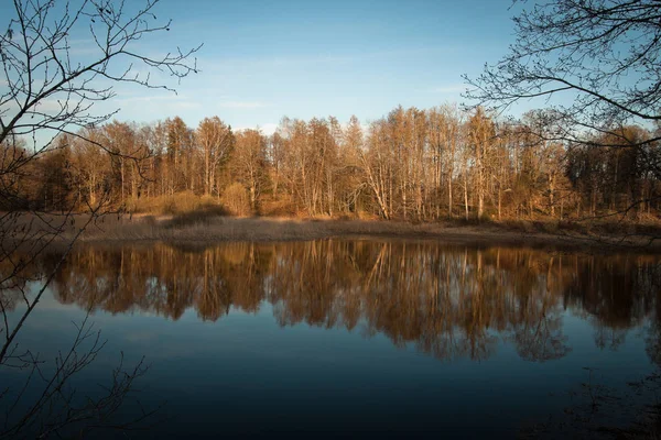 Winter Landscape River Coast Forest — 스톡 사진