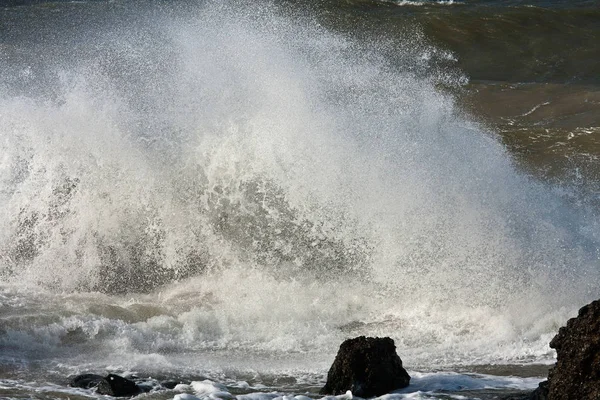 Хвилі Узбережжі Балтійського Моря — стокове фото