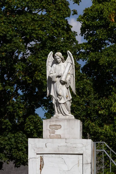 Estatua Ángel Jardín Verde — Foto de Stock