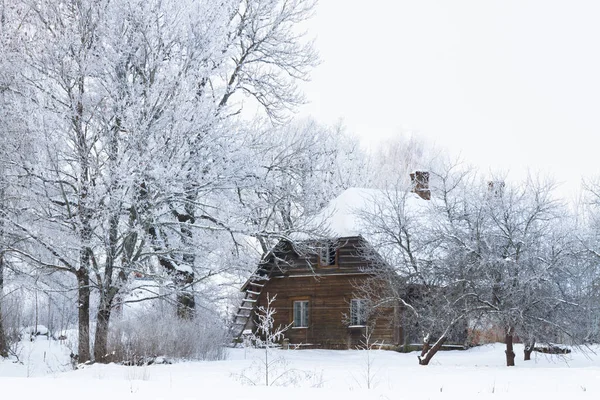 Árvores Inverno Arbustos Fortemente Espalhados Com Neve Profunda — Fotografia de Stock