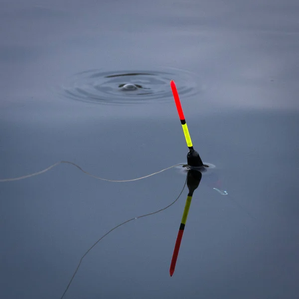 川の水に釣竿 — ストック写真