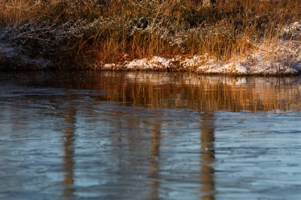 Boglake Winter Mit Wolken Und Eis — Stockfoto