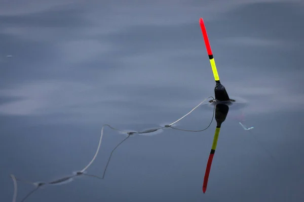Tongkat Ikan Dalam Air Sungai — Stok Foto