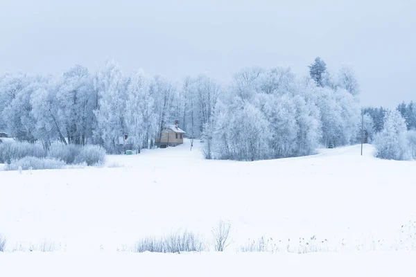 Paesaggio Innevato Nella Stagione Invernale — Foto Stock