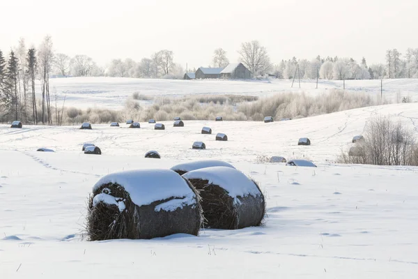 Kış orman arabaya.