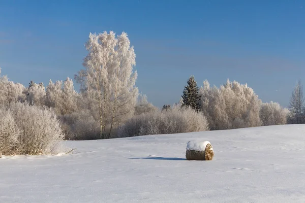 Hiver Givré Enneigé Campagne — Photo