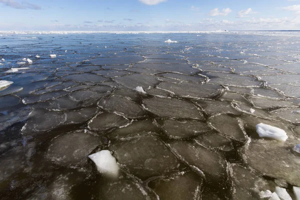 Costa Mar Con Hielo Temporada Invierno — Foto de Stock