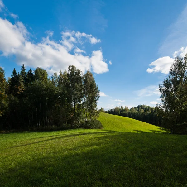 Ağaçlı Meadow Hill Manzarası — Stok fotoğraf