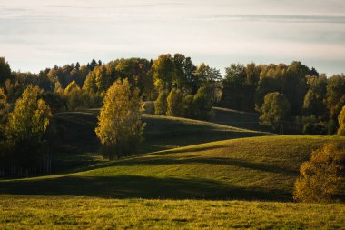 Güneşli bir günde güzel yeşil bir manzara