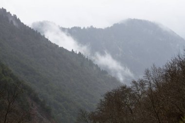 Dağ manzarasının havadan görünüşü