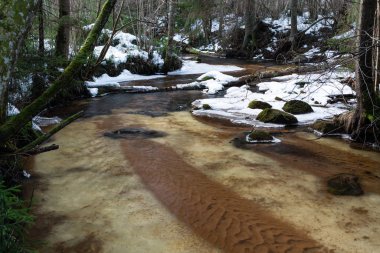 Kış ormanında küçük bir nehir