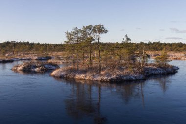 Kış mevsiminde güzel kuzey manzarası