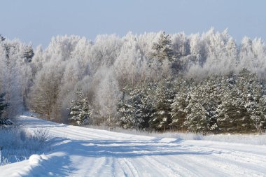 Kırsalda soğuk ve karlı kış