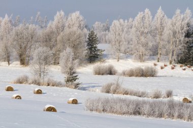 Kırsalda soğuk ve karlı kış