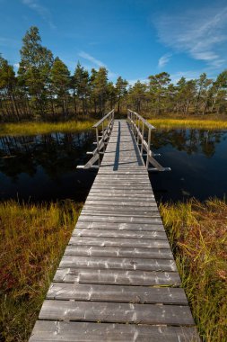 Güneşli bir günde nehrin üzerindeki tahta köprü.