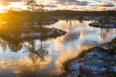 Kışın bulutlu ve buzlu Boglake