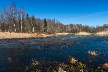 Gündüzleri güzel kuzey manzarası
