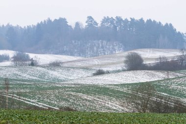 Karla kaplı ağaçlarla kaplı kış manzarası