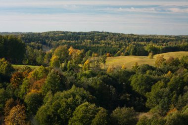Güneşli bir günde güzel yeşil bir manzara