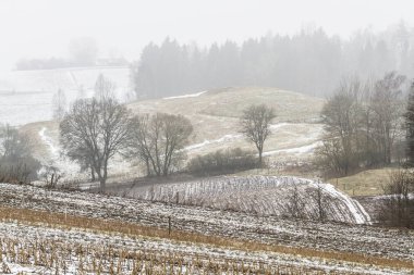 Karla kaplı ağaçlarla kaplı kış manzarası