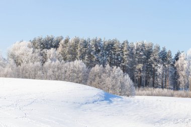 Omsk yakınlarında kış sis, Sibirya Rusya