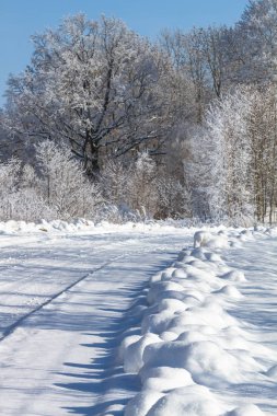 yol iz kar güneş ışığı kış manzara güzel golf kar yağıyordu güneş parlamayı doğa
