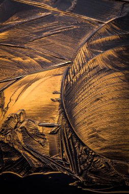 Eski denizin kumsalı