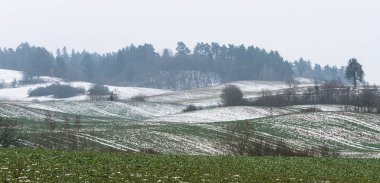 Karla kaplı ağaçlarla kaplı kış manzarası