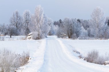 Gündüz vakti kar manzarası