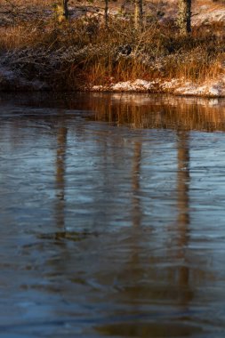 Kışın bulutlu ve buzlu Boglake