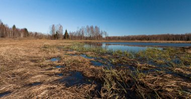 Nehir ve kışın orman manzarası