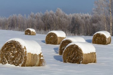 Kırsalda soğuk ve karlı kış