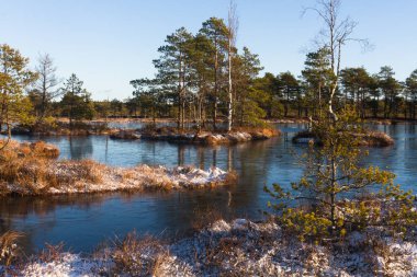 Kışın bulutlu ve buzlu Boglake
