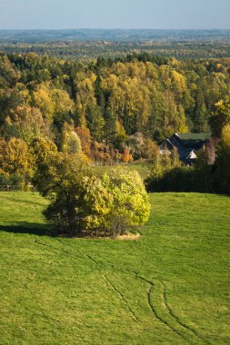 Güneşli bir günde güzel yeşil bir manzara