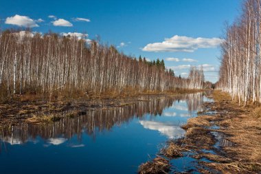Nehir ve kışın orman manzarası