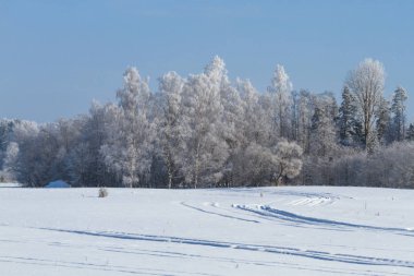 Çok soğuk kış günlerinde donuk ağaçlarla güzel bir kış manzarası