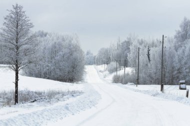 Kış ormanında karlı bir yol