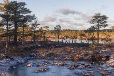 Kış mevsiminde güzel kuzey manzarası